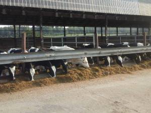 11225407_10207969588820255_294532382402971361_n