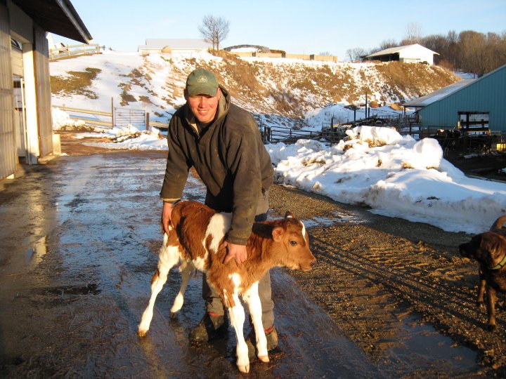 Vlietstra Dairy Farm photo