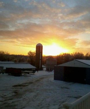 10911255_10152526745500388_5132105148258300894_o-1