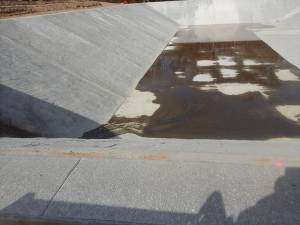 12193452_10208399263201846_5398477640997563681_n